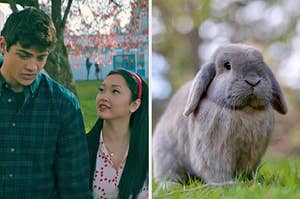 On the left, Noah Centineo and Lana Condor as Peter and Lara Jean in "To All the Boys I've Loved Before P.S. I Still Love You," and on the right, a sweet bunny in the grass
