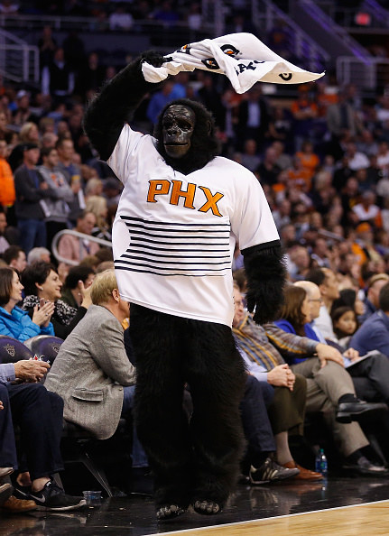 Suns&#x27; Gorilla holding a towel