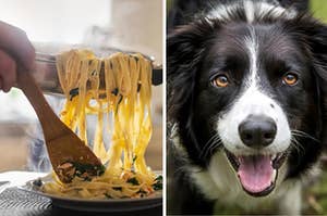 A man is putting pasta on a plate with a dog on the right sticking his tongue out