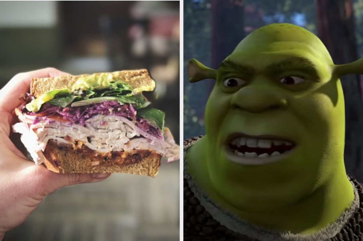 Choose A Dress, A Sandwich, And A And We'll Tell You Which "Shrek" Character You Are