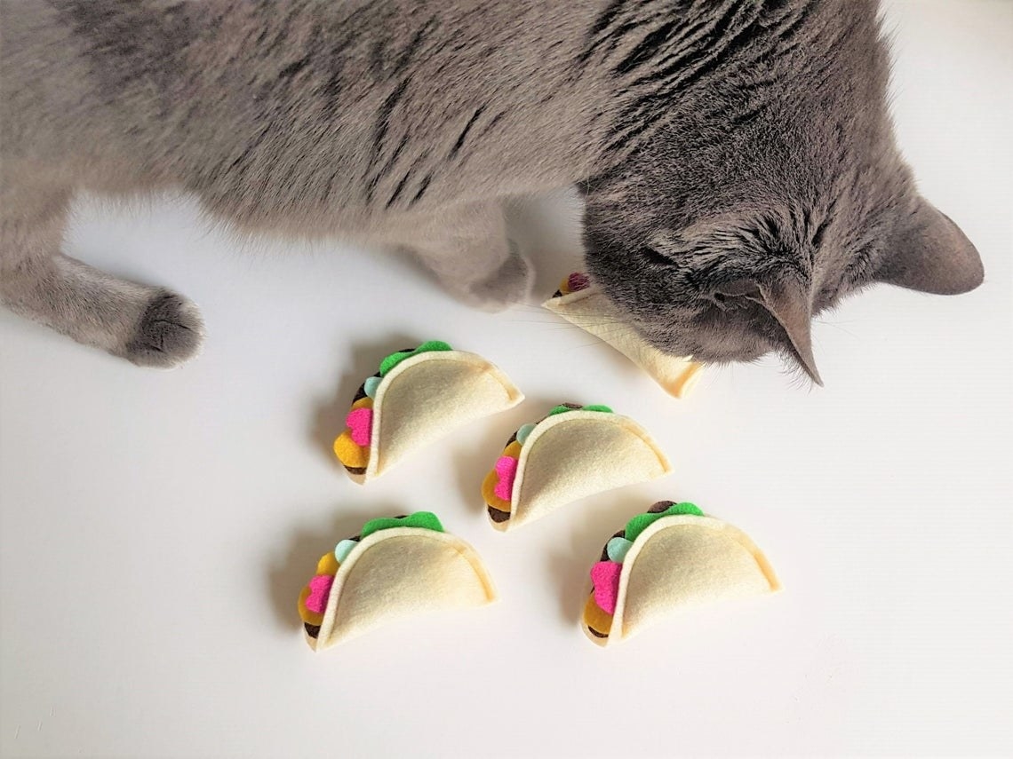 A cat next to five taco-shaped felt toys