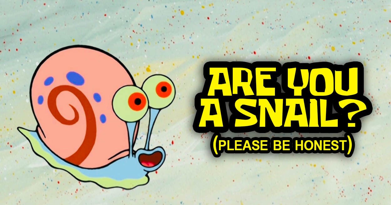 Are You A Snail? Personality Quiz