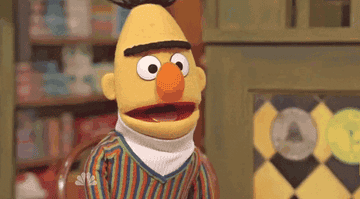 Bert raising his unibrow in surprise