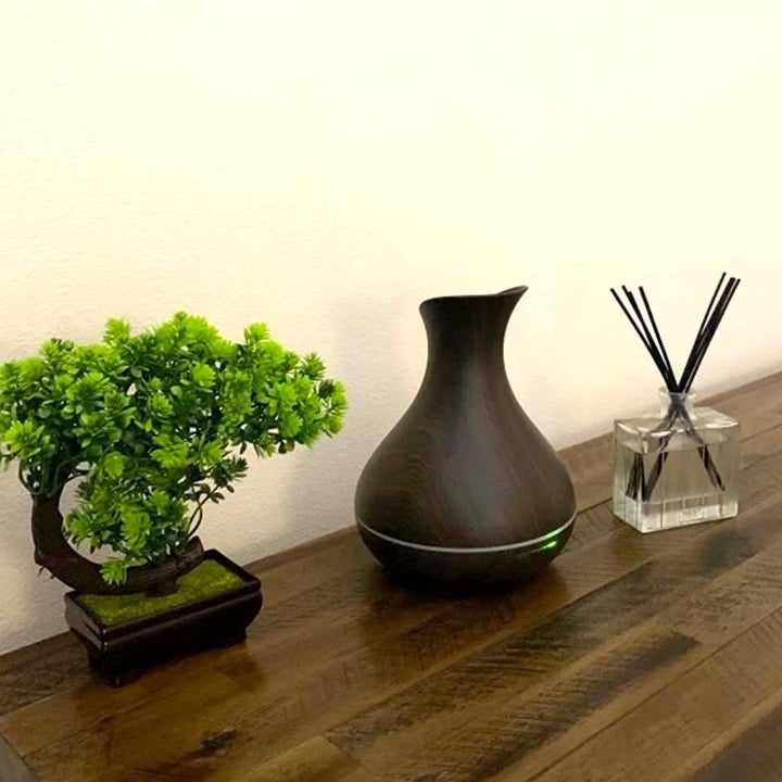 A reviewer photo of the diffuser sitting on a table next to a small bonsai tree and a reed diffuser, showing that the diffuser is roughly the same size as these items