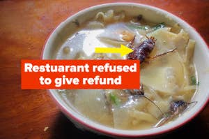 Cockroach in soup and customer gets no refund