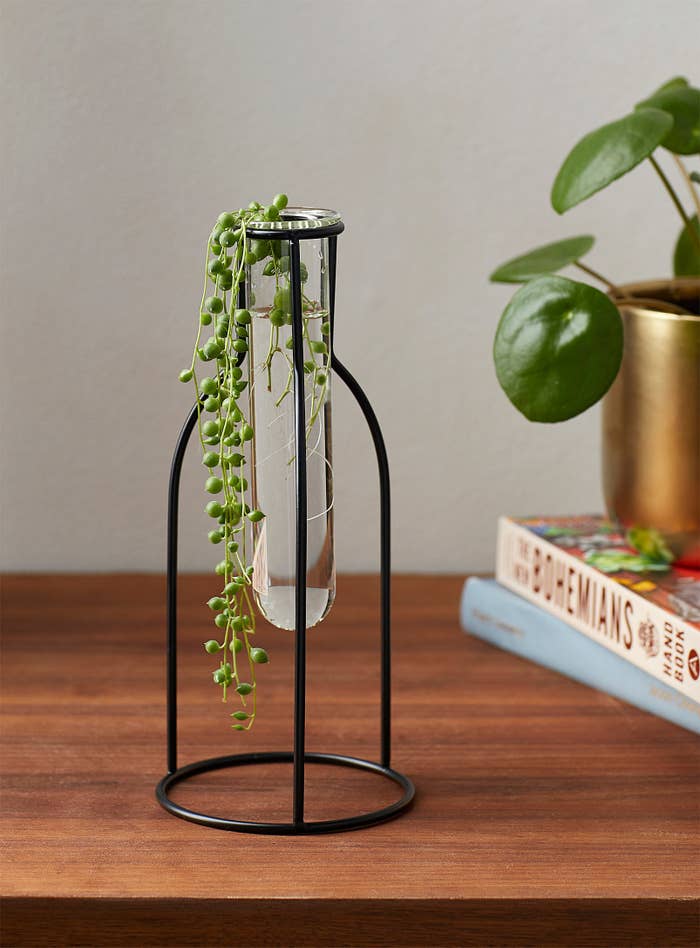 plant in vial on stand