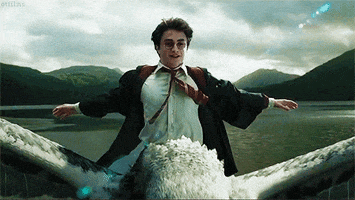 A 'Harry Potter' TV Series Is Being Developed By HBO Max - Narcity