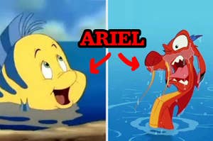 Does flounder or mushu belong with ariel?