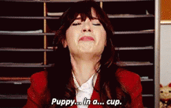 A woman dramatically crying as she says &quot;Puppy...in a...cup&quot;