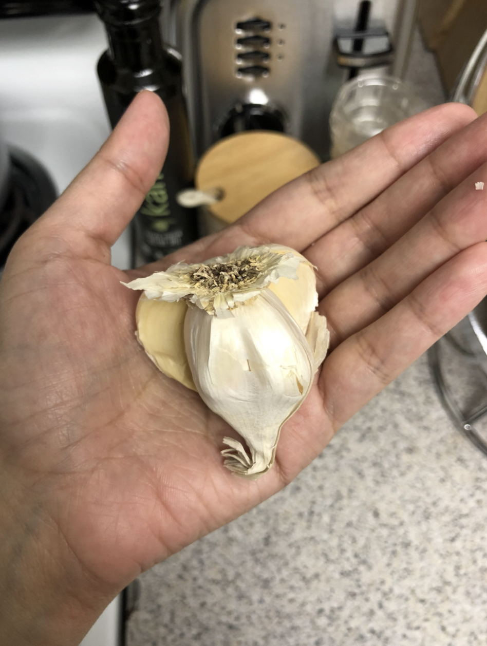 A head of garlic in hand, with several cloves missing