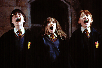 Harry Potter, Hermione Granger, and Ron Weasley screaming their lungs out.