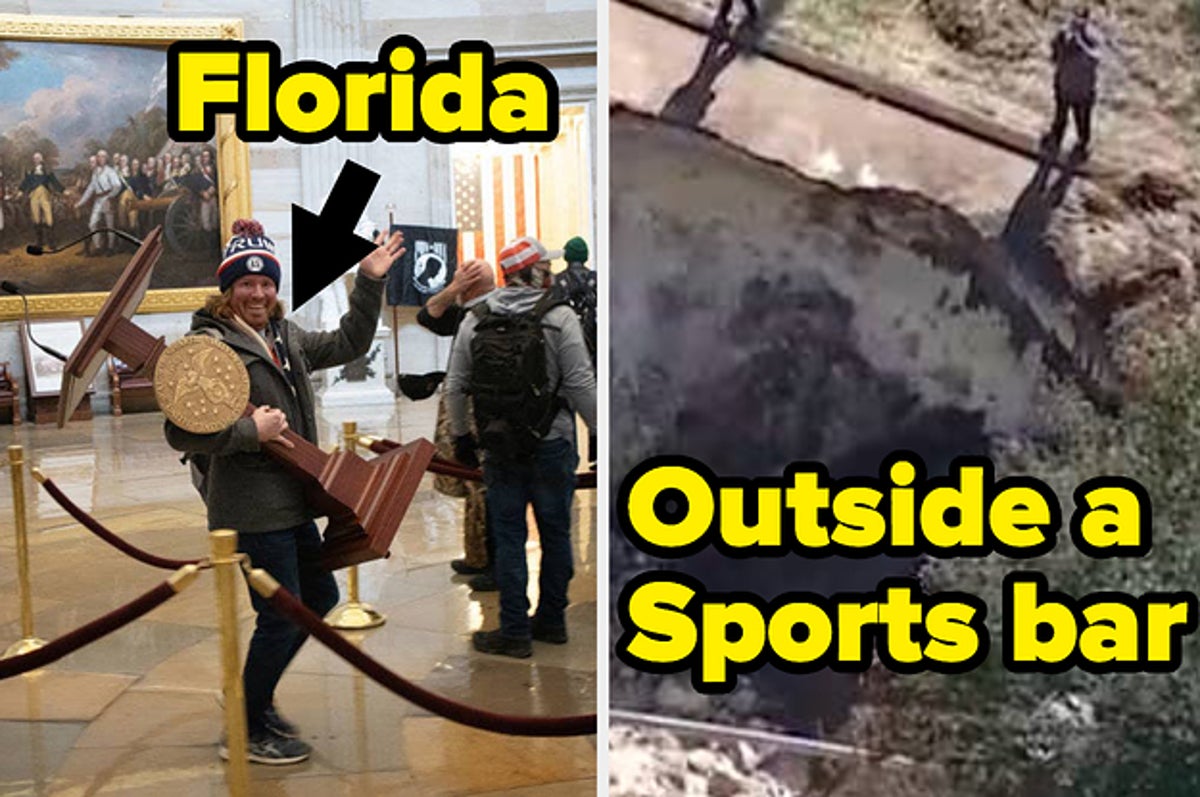 Anything To Escape Vampires  Florida man meme, Florida funny