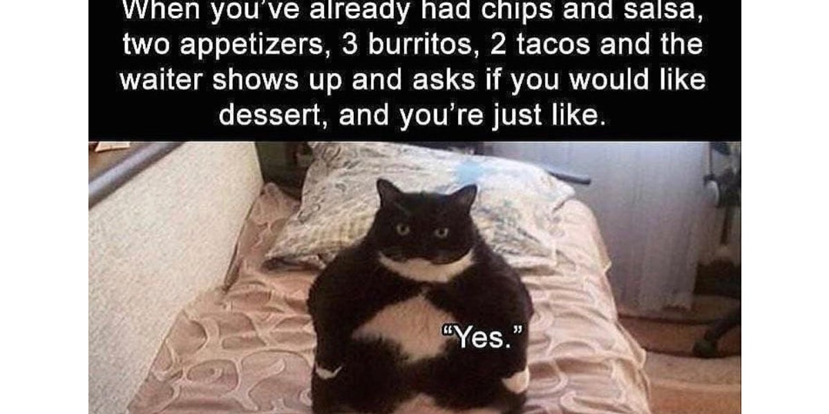 21 Funny Animal Memes Movie ambili mp3 download from now myfreemp3. 21 funny animal memes