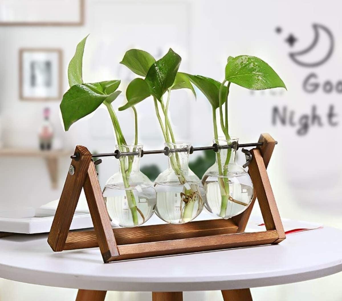 Three glass bulbs on a stand with water plants