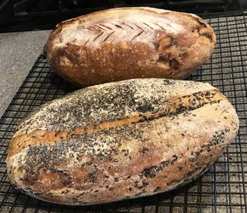 reviewer photo of two loaves of bread 