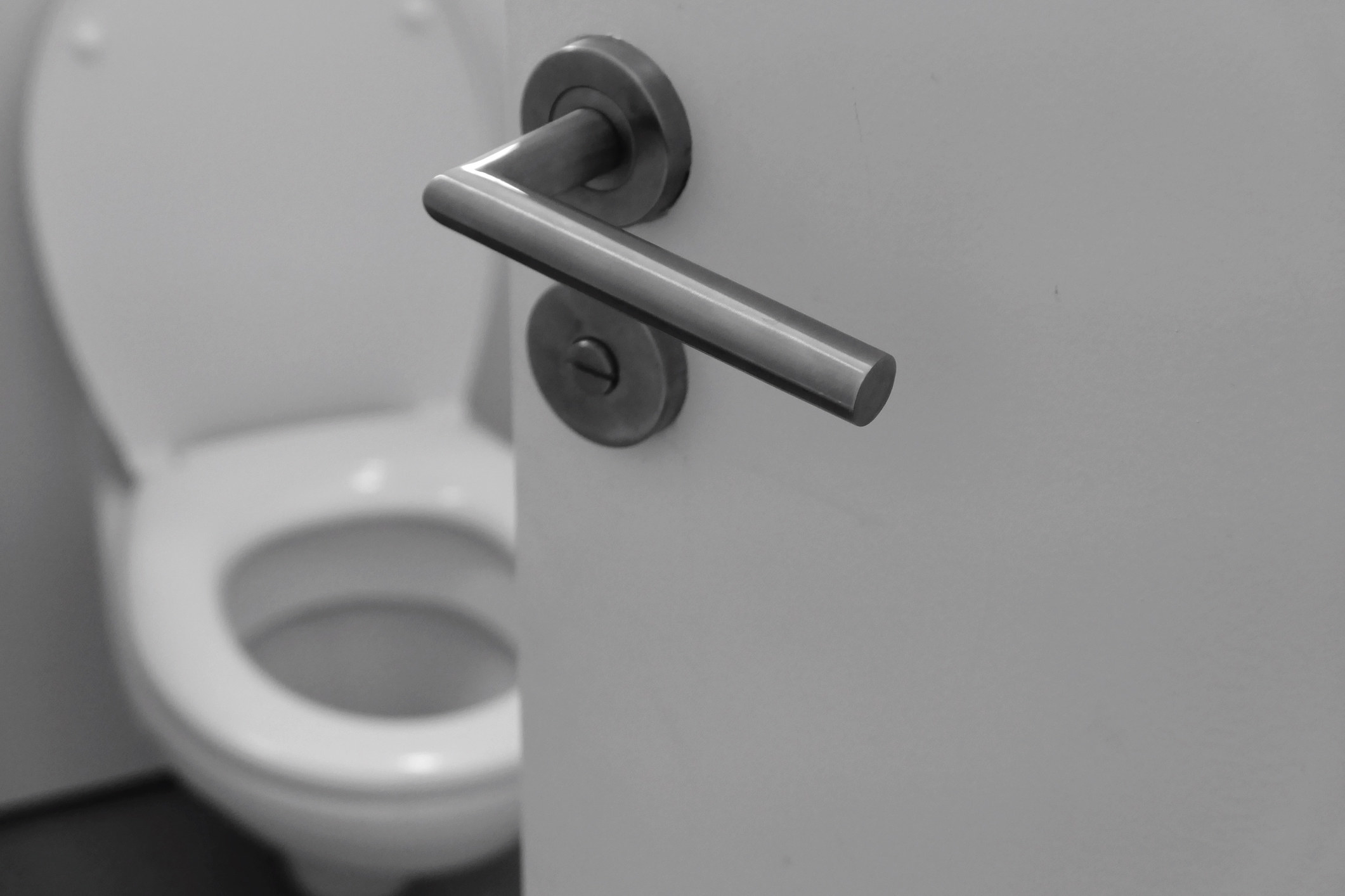 A bathroom door creaked open, revealing a toilet