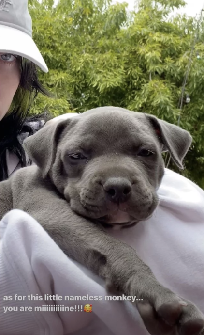 Closeup of Billie holding Shark in a blanket