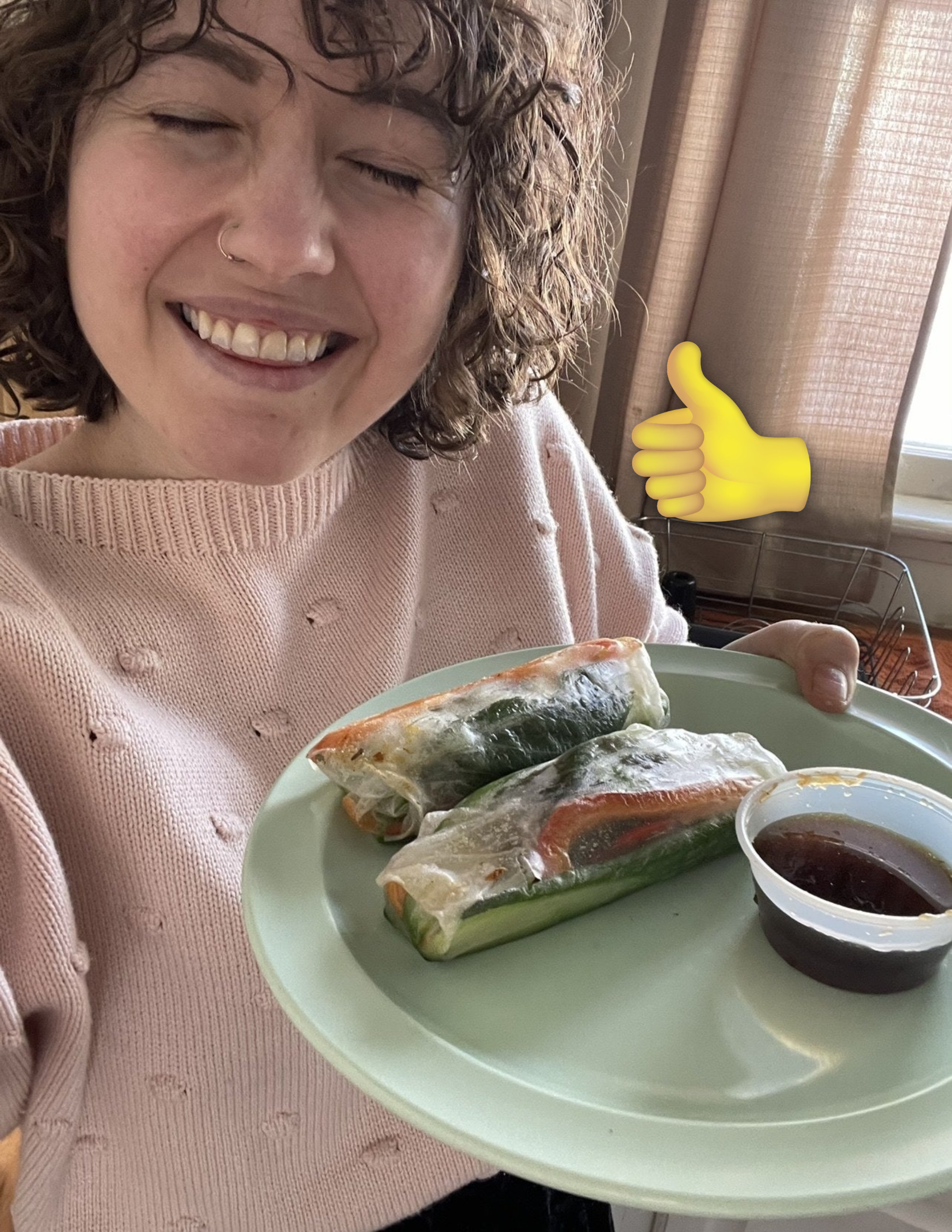 Person holding a plate with two spring rolls on it