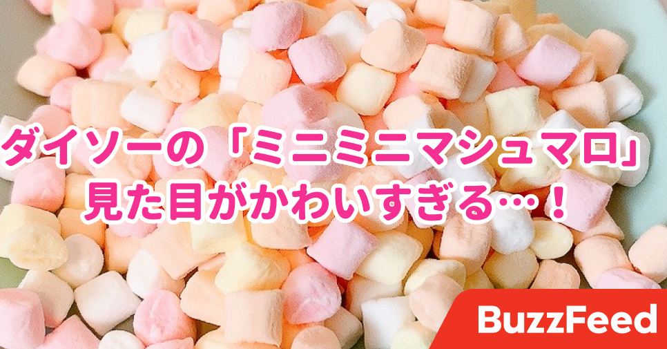 こんなの今まで見たことないよ ダイソーで見つけた マシュマロ が衝撃の小ささだった