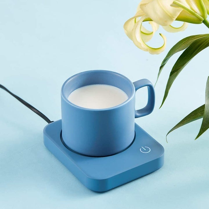 the mug warmer in light blue
