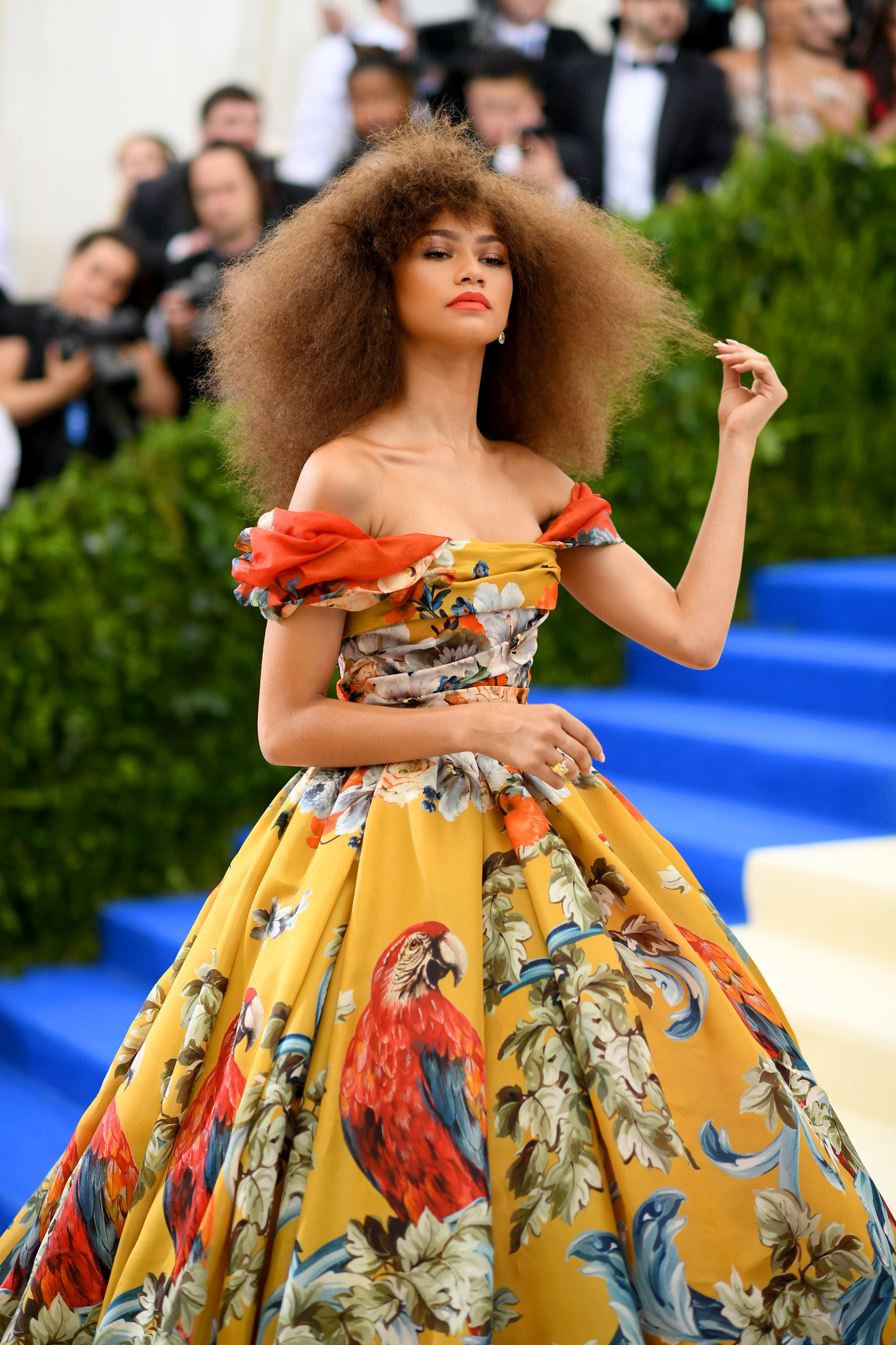Zendaya arriving at the Met Gala with her hair styled in an afro and wearing an off the shoulder gown with parrots on it. 