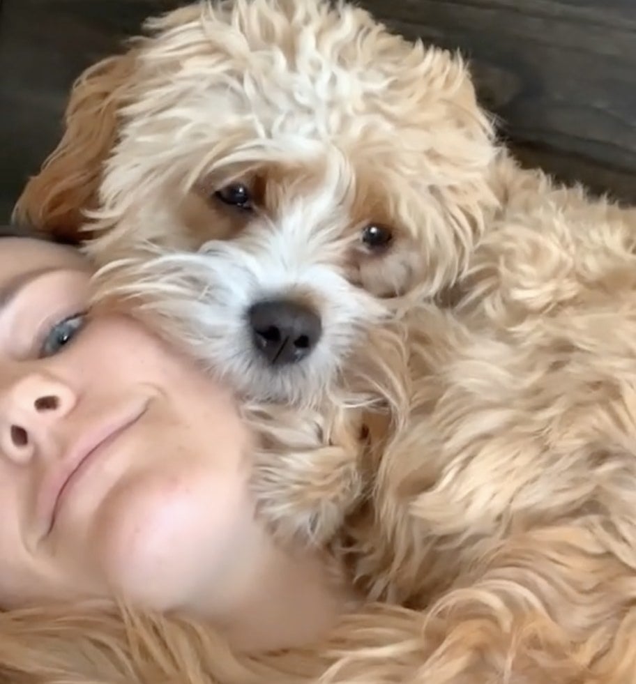 A golden shaggy dog sleeps on his owner's face
