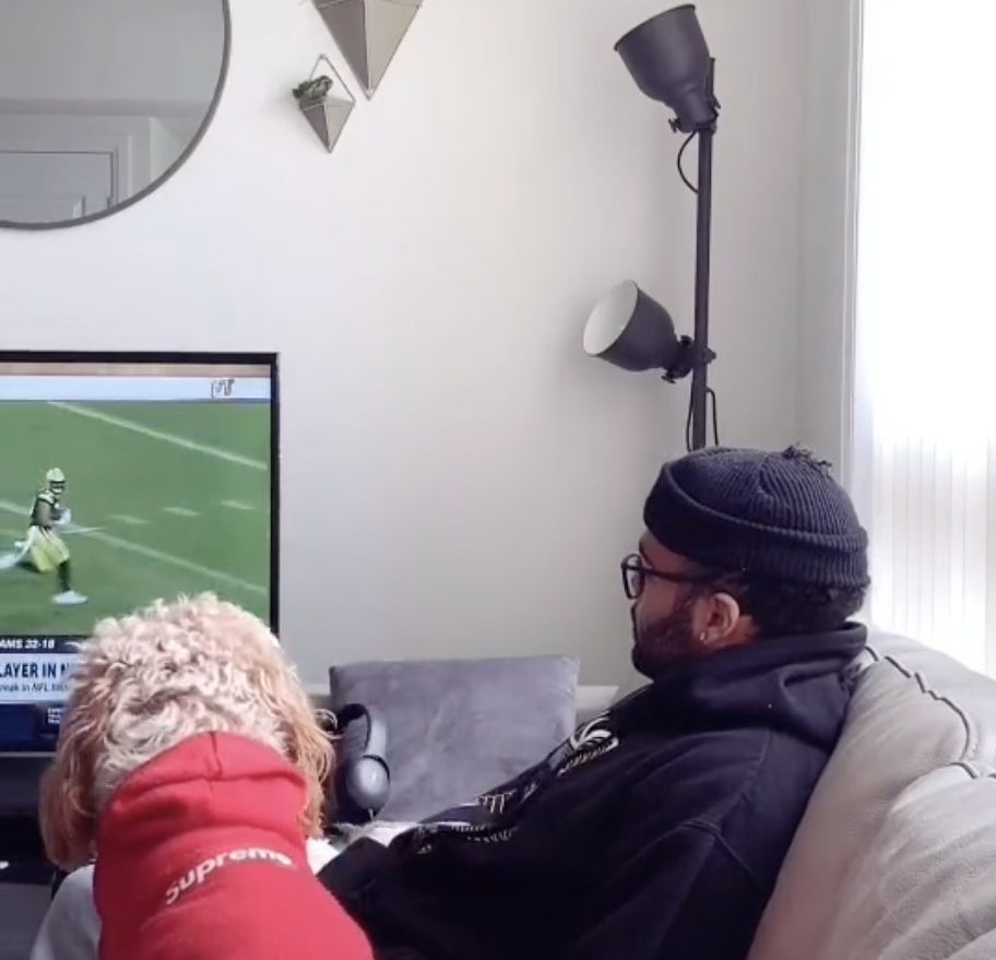 A dog watches a football game with its owner