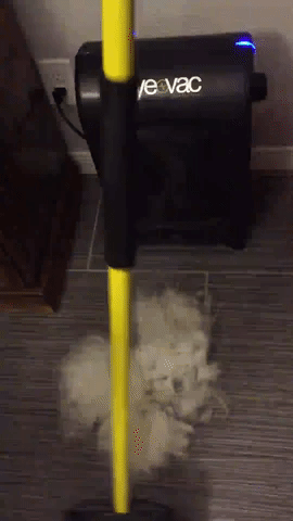 Reviewer sweeping dog fur into EyeVac stationary vacuum