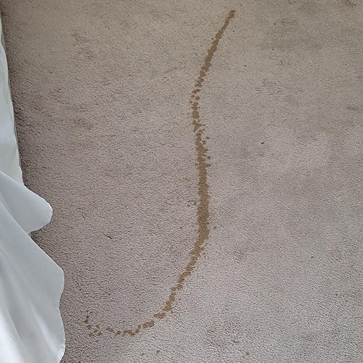 A reviewer photo showing a line of coffee spilled onto a light tan carpet 