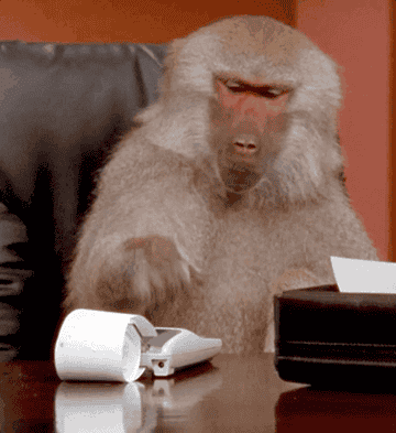 An animated GIF of a monkey sitting in an office setting pressing the buttons on a calculator.