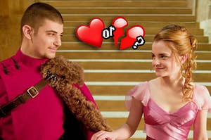 Krum and Hermione staring into each other's eyes