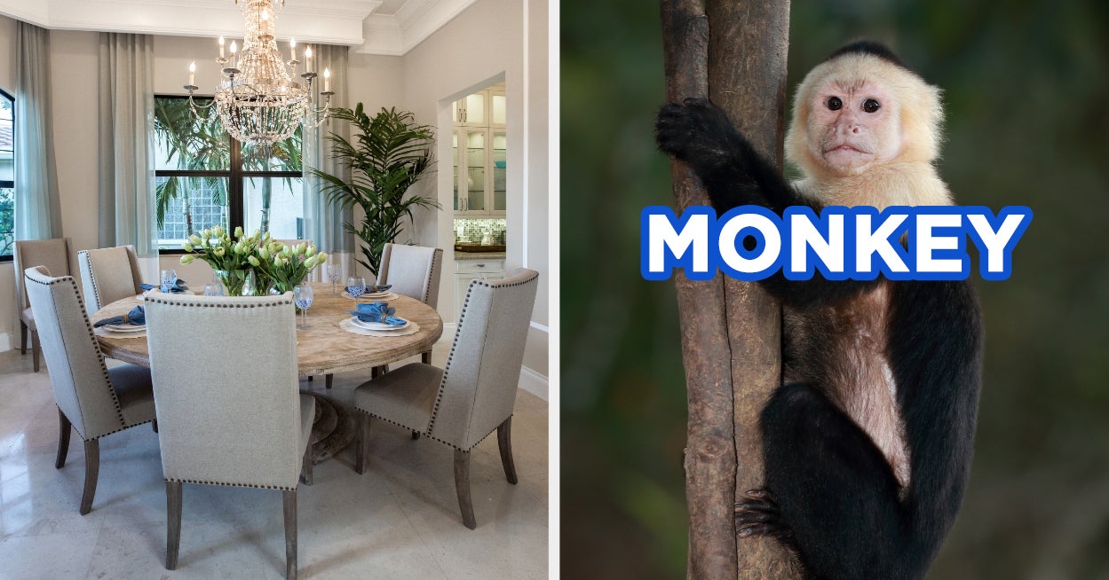 Design A House And We’ll Guess Your Favorite Animal