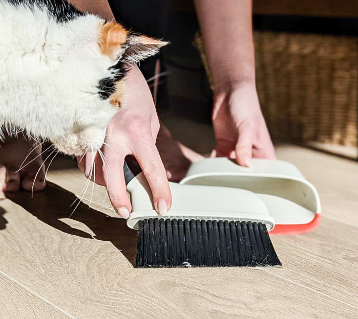 Victoria uses the mini dust pan and broom to sweep the floor while a cute kitty looks on