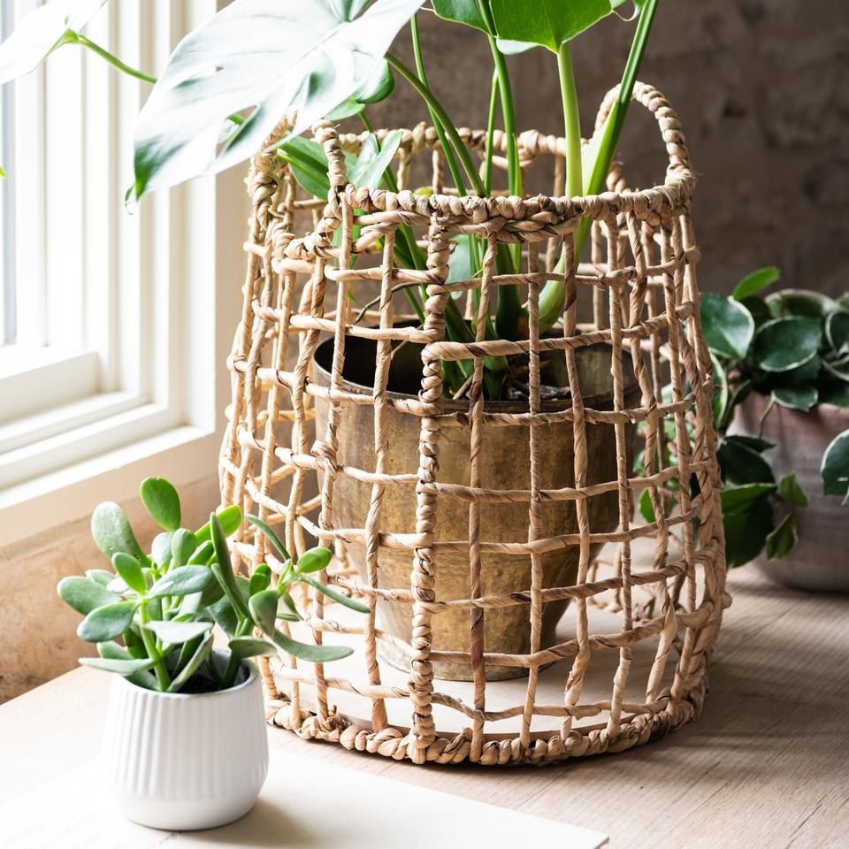 woven basket around a house plant