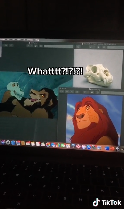 A comparison of Mufasa, the skull Scar plays with, and a real lion skull