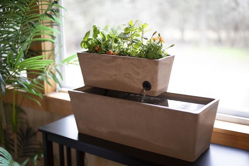 the aquaponic system with live plants growing in a container above the water basin