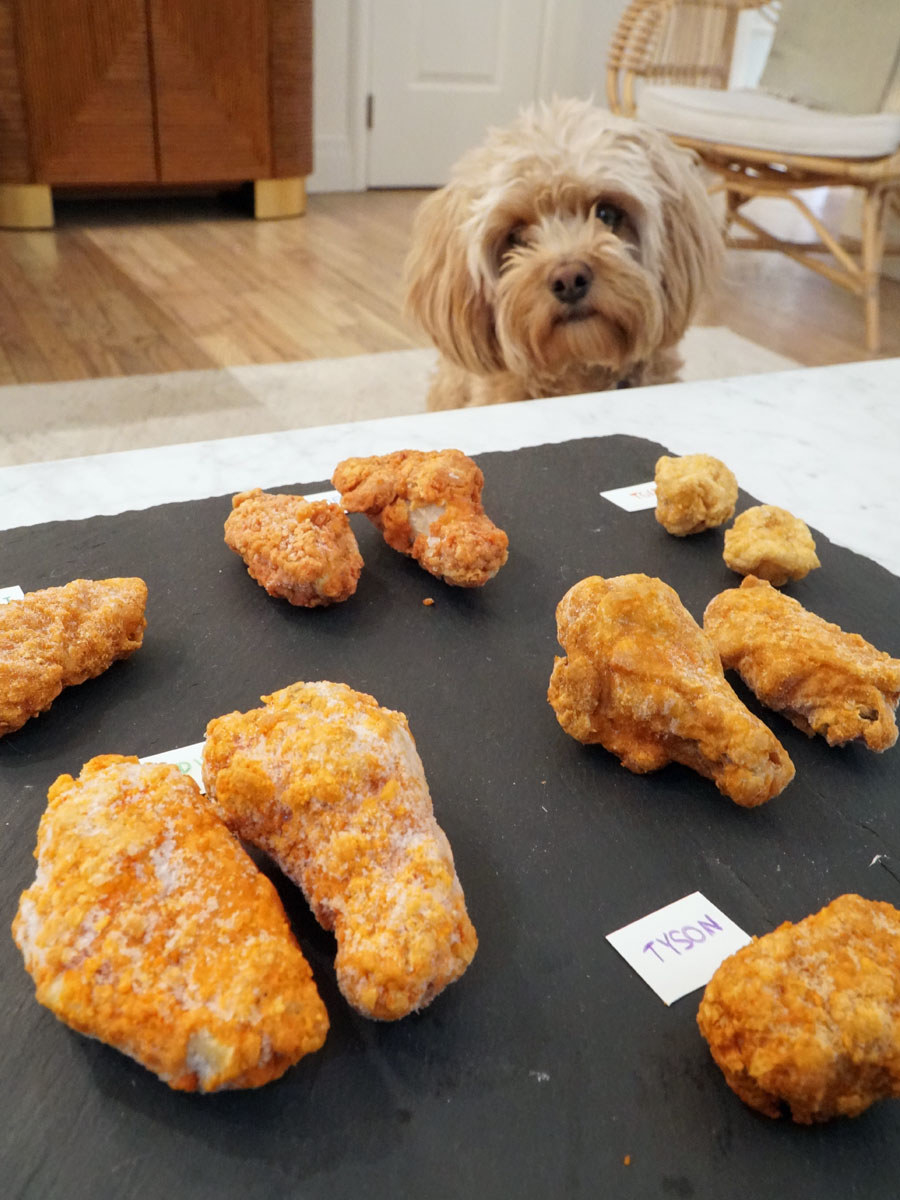 My dog eyeing the frozen chicken wings longingly.