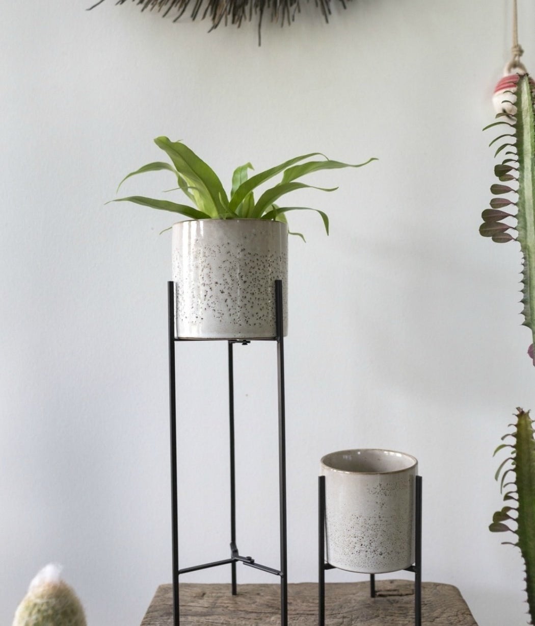 The black plant stand