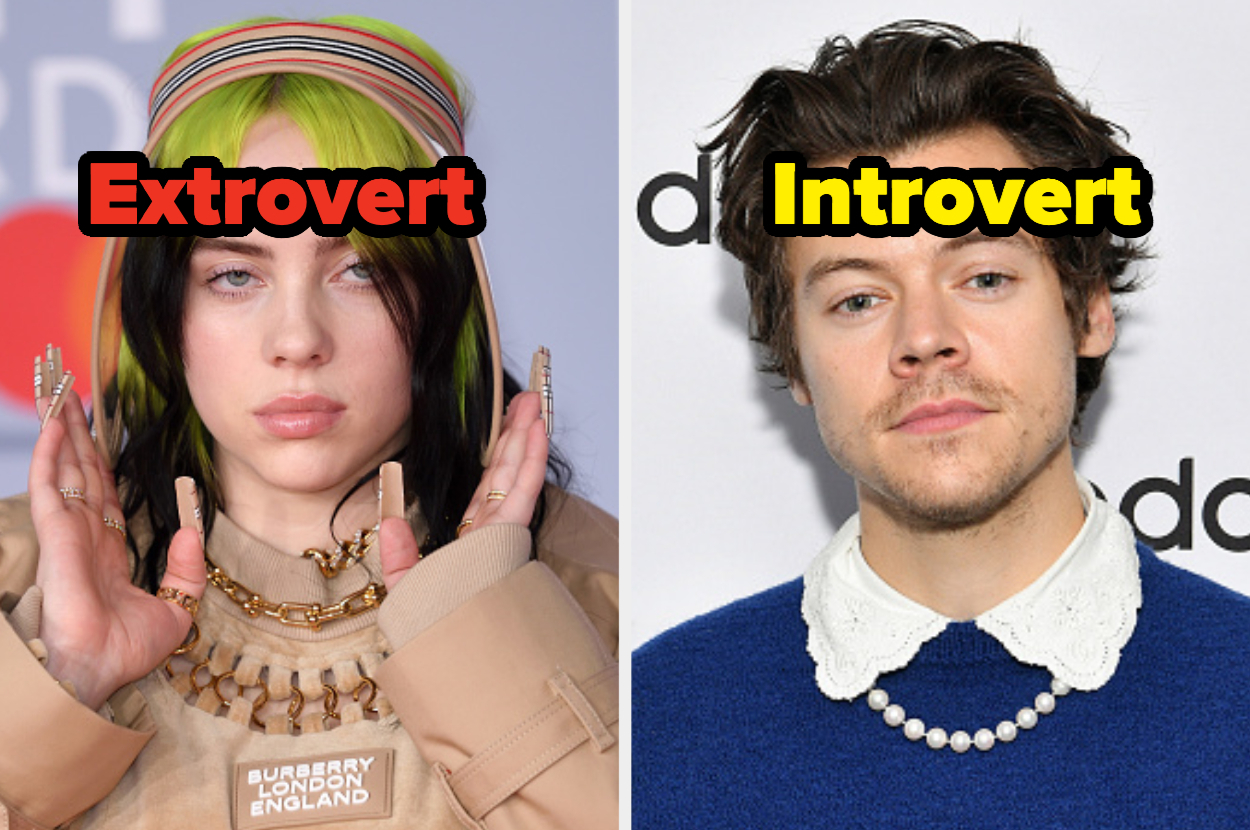 celebrity introverts