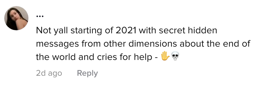 A TikTok comment: &quot;Not y&#x27;all starting off 2021 with secret hidden messages from other dimensions about the end of the world and cries for help&quot;