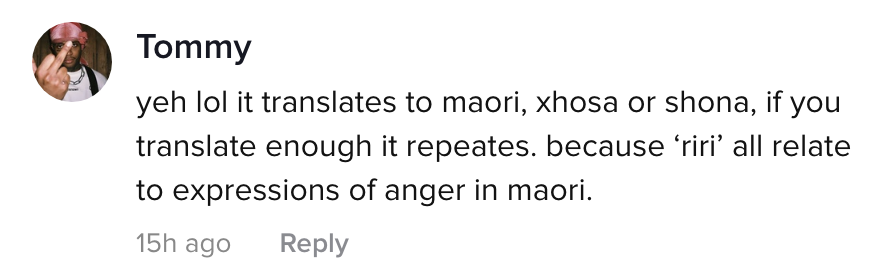 A TikTok comment: &quot;yeh lol it translates to maori, xhosa or shona, if you translate enough it repeats because &#x27;riri&#x27; all relate to expressions of anger in maori&quot;