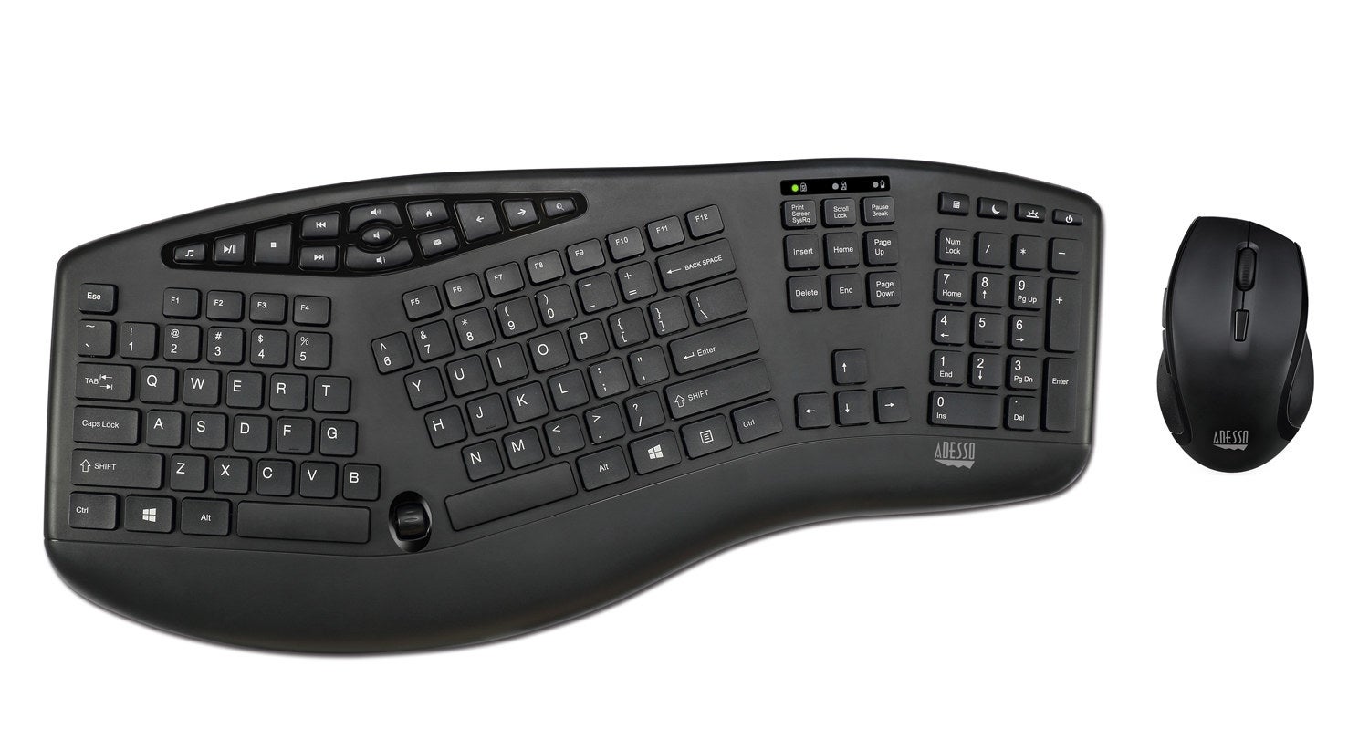 the keyboard and mouse