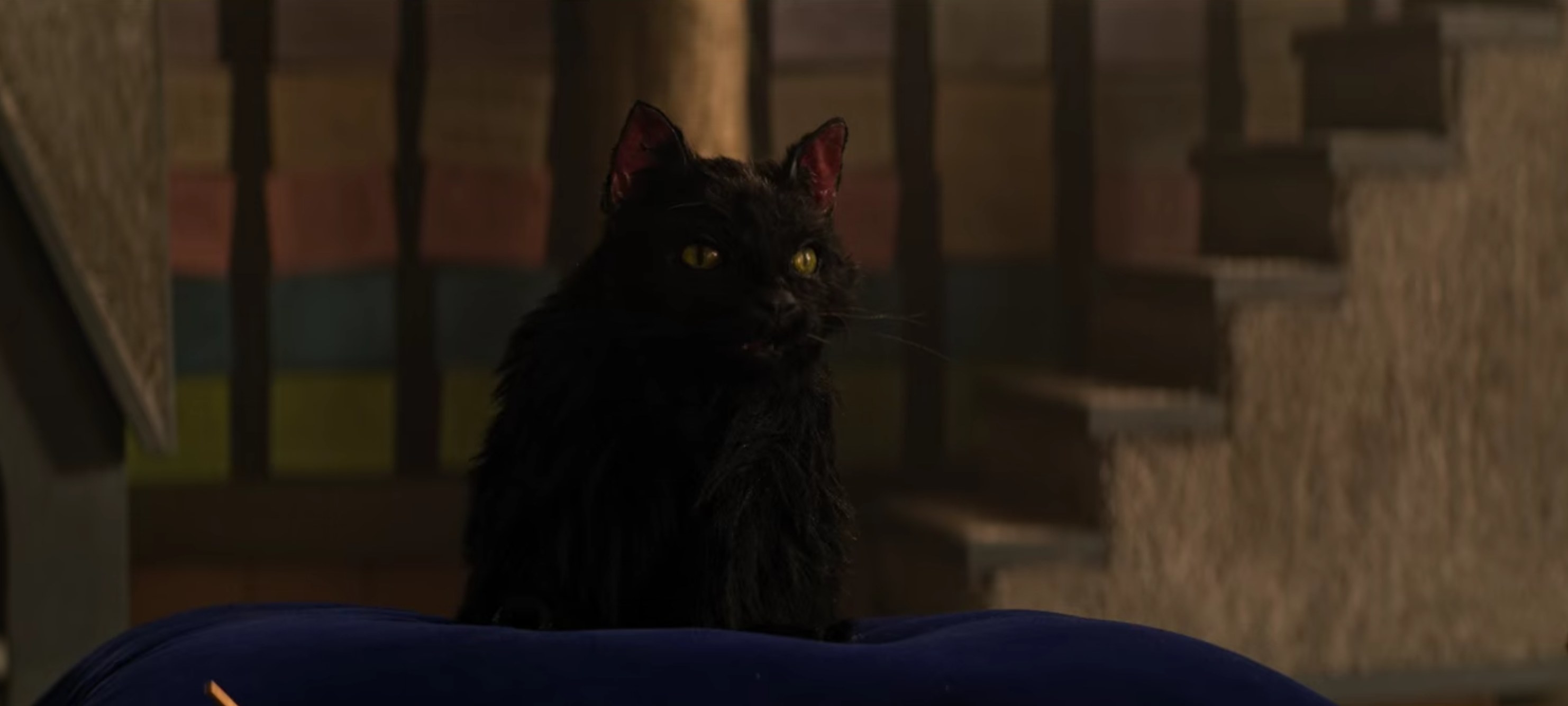 Salem in the parallel universe