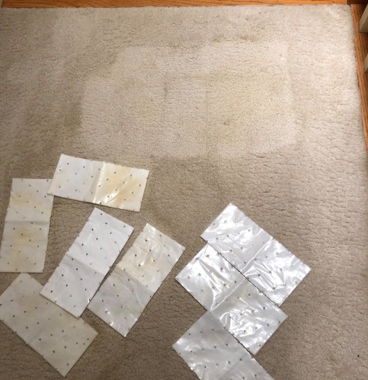 reviewer photo showing cleaning pads on their carpet and visibly cleaner spots where the pads have already been applied 