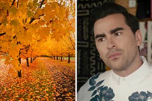 On the left, some trees with fall colors, and on the right, Dan Levy as David on "Schitt's Creek"