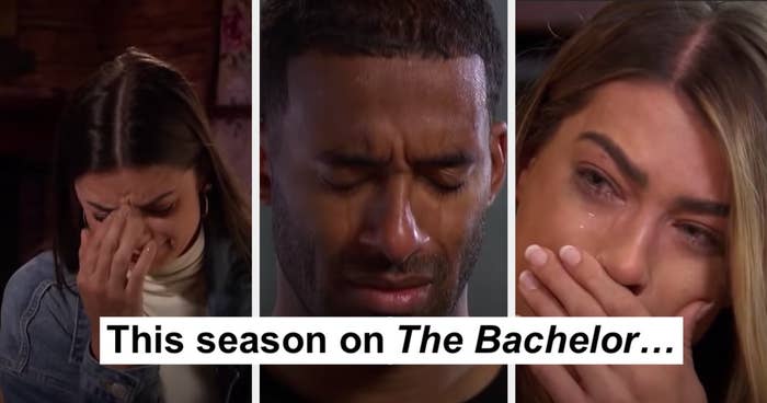 Matt and two of the contestants crying with the caption "This season on The Bachelor..."