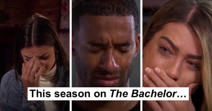 Matt and two of the contestants crying with the caption &quot;This season on The Bachelor...&quot;