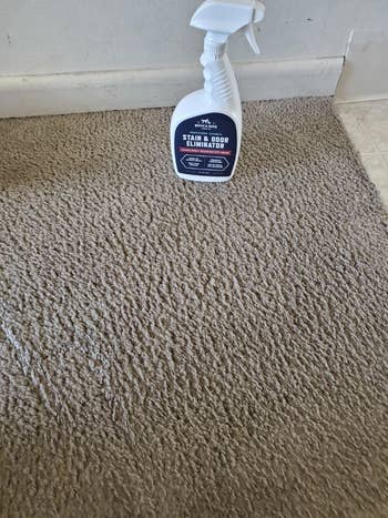 Reviewer image of same carpet now clean 