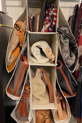 another review photo showing bag organizer in closet 