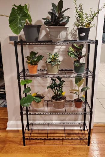 reviewer photo showing shelf being used for plants